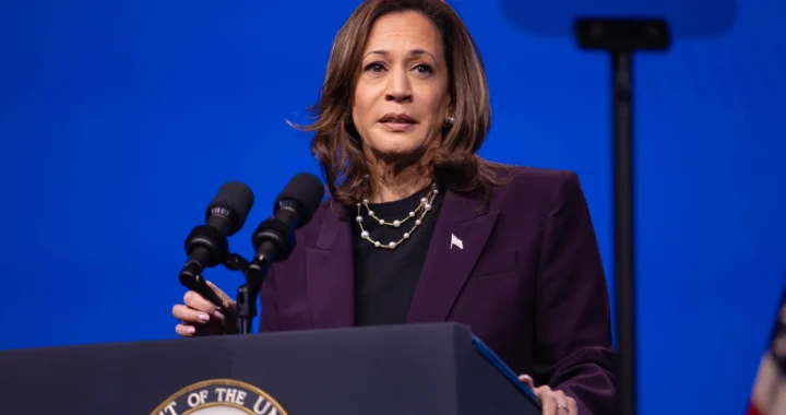 California Governor Race Polls