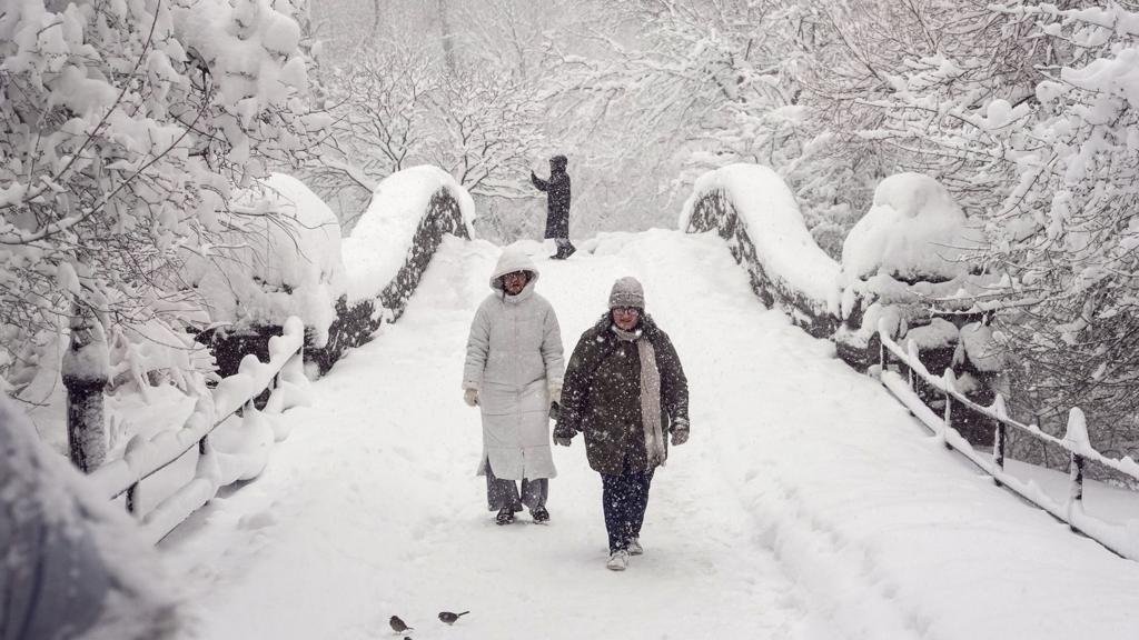Winter Storm